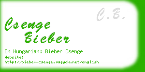 csenge bieber business card